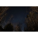 SIGMA - AF 15MMM F/1.4 DG DN DIAGONAL FISHEYE(A) F/SE