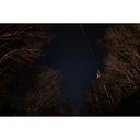 SIGMA - AF 15MMM F/1.4 DG DN DIAGONAL FISHEYE(A) F/SE