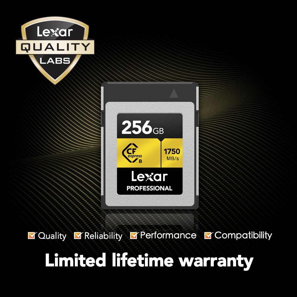 LEXAR 256GB Professional CFexpress Type B Hafıza Kartı