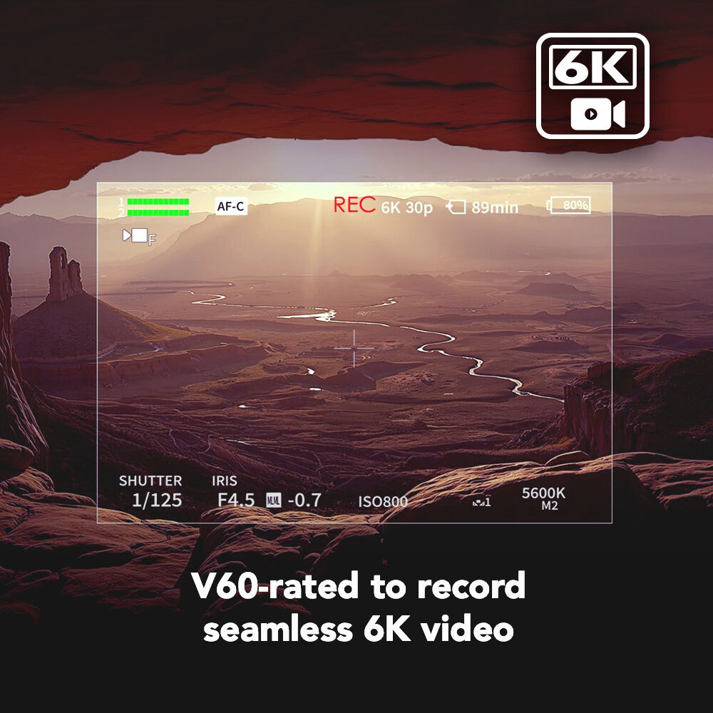 LEXAR 512GB ARMOR GOLD SDXC Hafıza Kartı (V60)