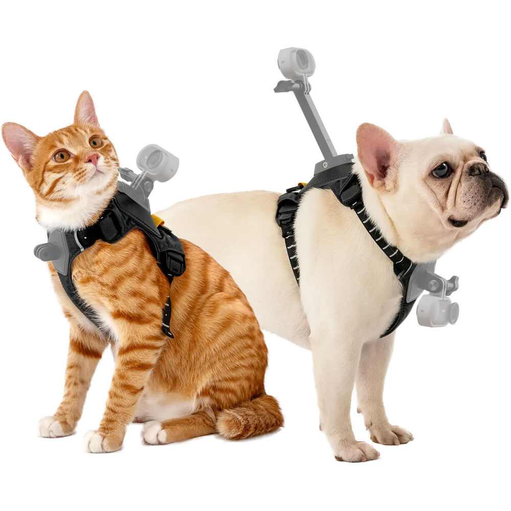 Insta360 Pet Harness Mount ( SMALL )