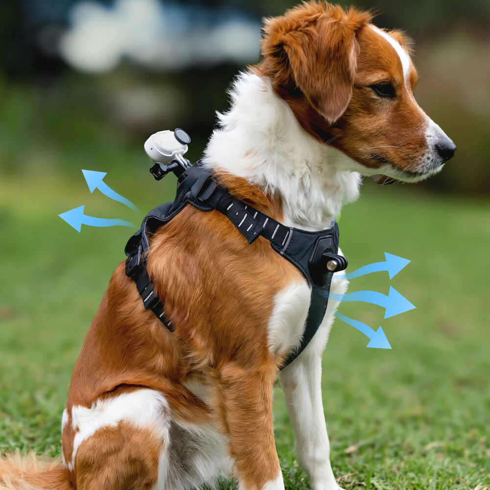 Insta360 Pet Harness Mount ( SMALL )