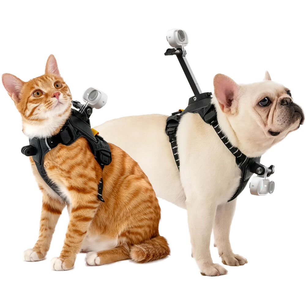 Insta360 Pet Harness Mount ( SMALL )