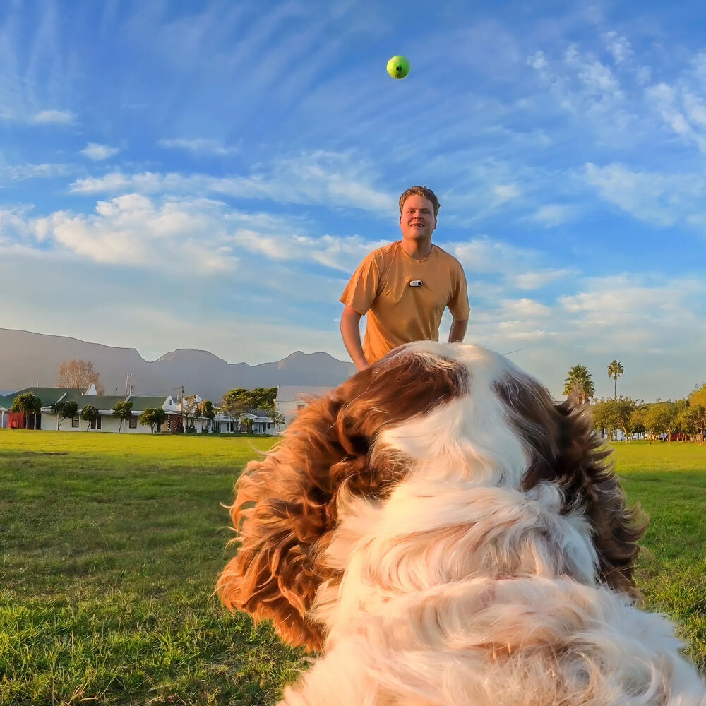 Insta360 Pet Harness Mount ( MEDİUM )