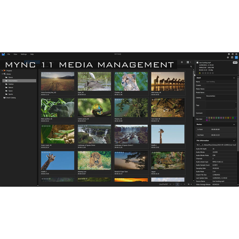 Grass Valley EDIUS 11 Pro Second License
