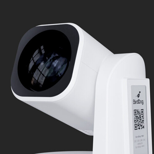 BirdDog Max 4K UHD PTZ Kamera - 12x Zoom (Beyaz)