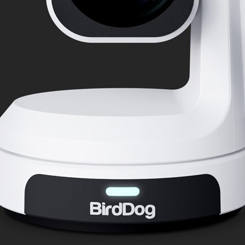 BirdDog Max 4K UHD PTZ Kamera - 12x Zoom Bej