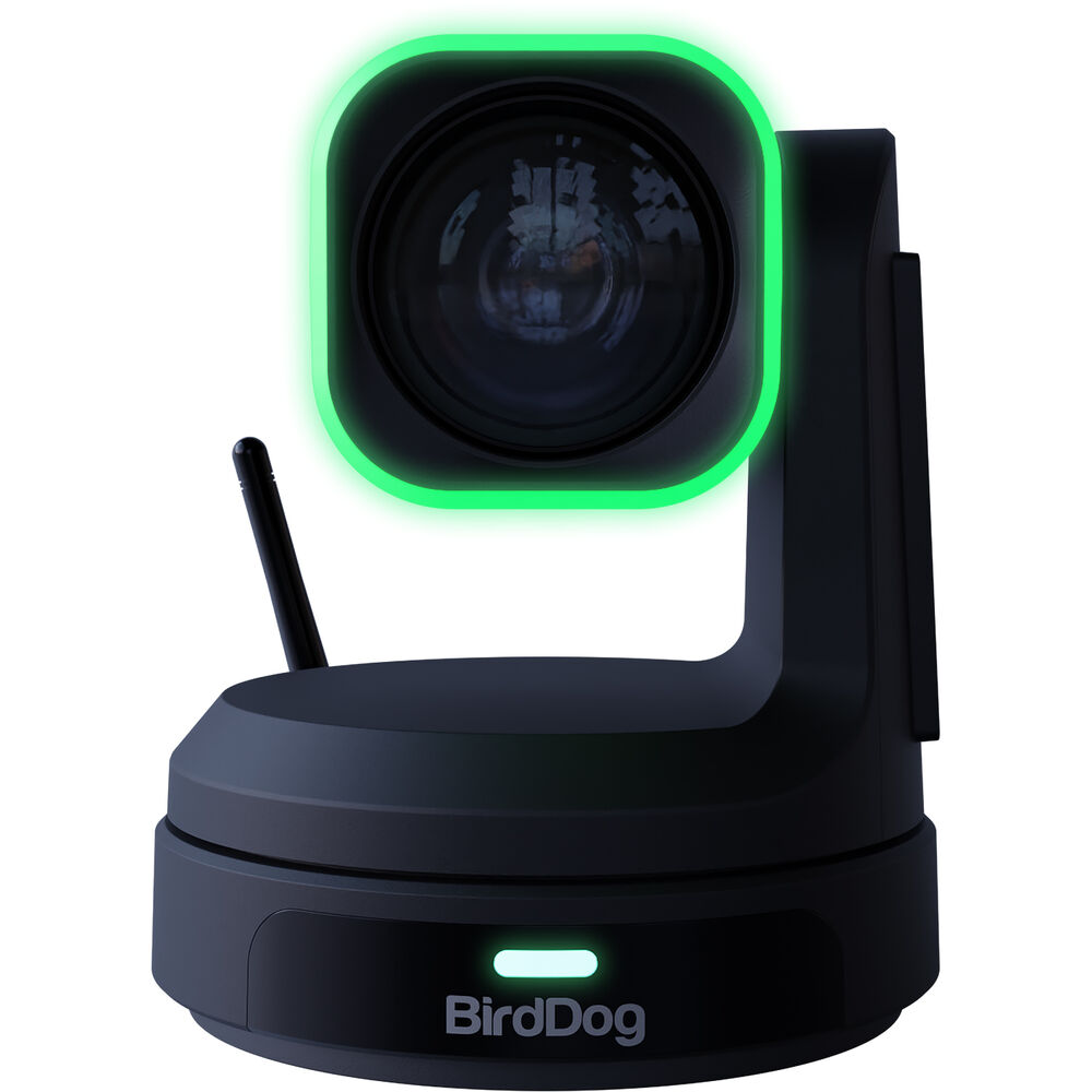 BirdDog X1 PTZ Kamera 30x Zoom (Siyah)