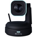 BirdDog X1 PTZ Kamera 30x Zoom (Siyah)