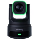 BirdDog X4E Ultra 4K PTZ Kamera AI Takip (Siyah)