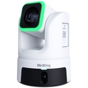 BirdDog XL Ultra PTZ Kamera (20x Zoom + Geniş Açı İkinci Sensör) (Beyaz)
