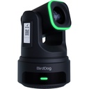 BirdDog X4E Ultra PTZ Yayın Paketi (3 Kamera + Kumanda) (Siyah)