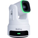 BirdDog X4E Ultra PTZ Yayın Paketi (3 Kamera + Kumanda) (Beyaz)