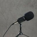 Zoom ZTM-1 Tuner ve Metronome