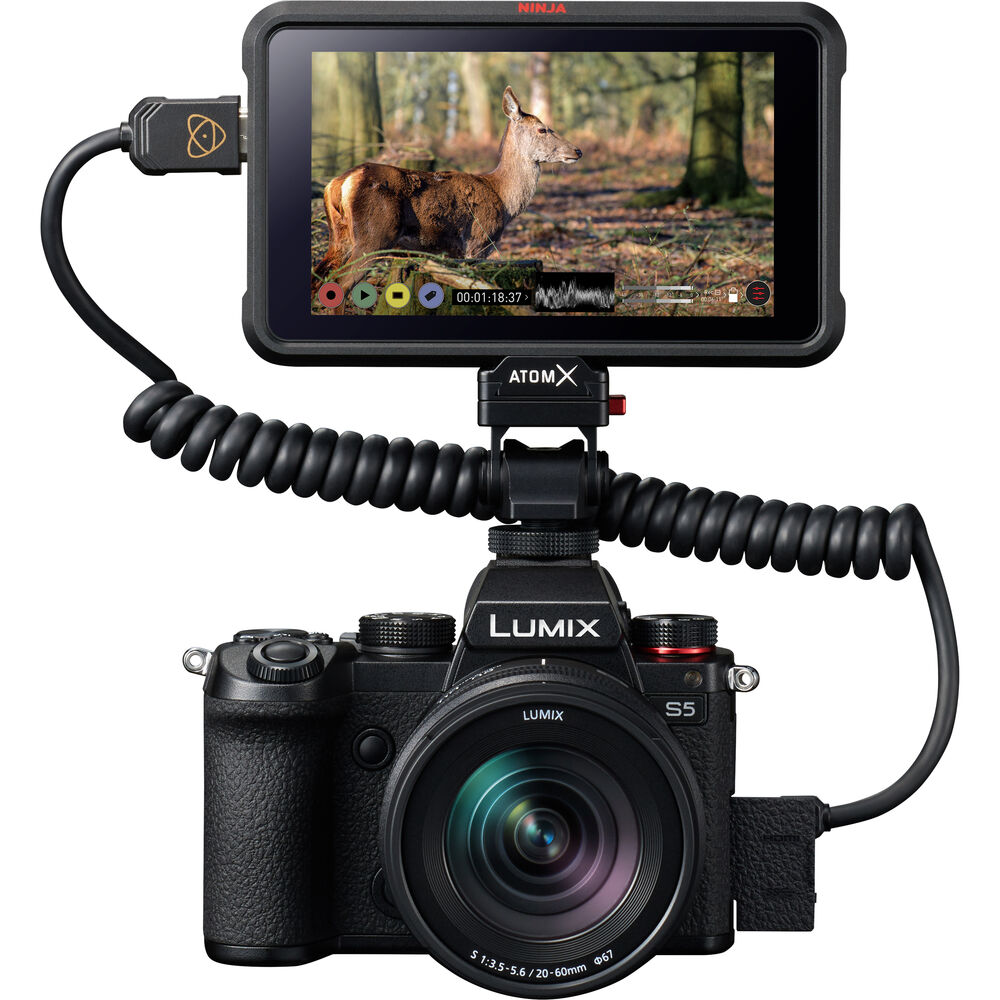 Panasonic Lumix S5 Body (Full Frame Aynasız Kamera)