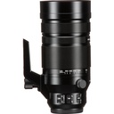 Panasonic Leica 100-400mm Lens
