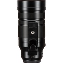 Panasonic Leica 100-400mm Lens