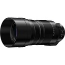 Panasonic Leica 100-400mm Lens