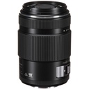 Panasonic Lumix 45-175mm Power Zoom Lens