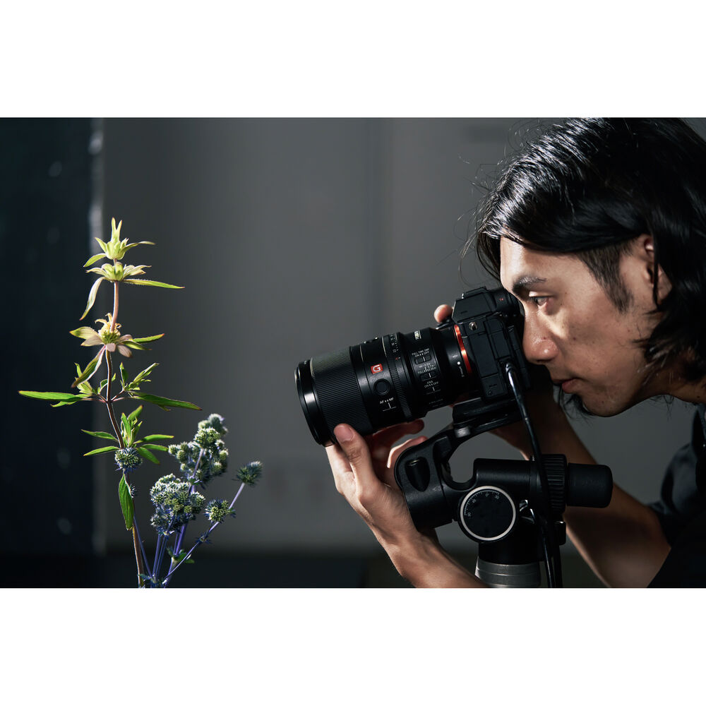 Sony FE 100mm f/2.8 Macro GM Lens (Sony E)