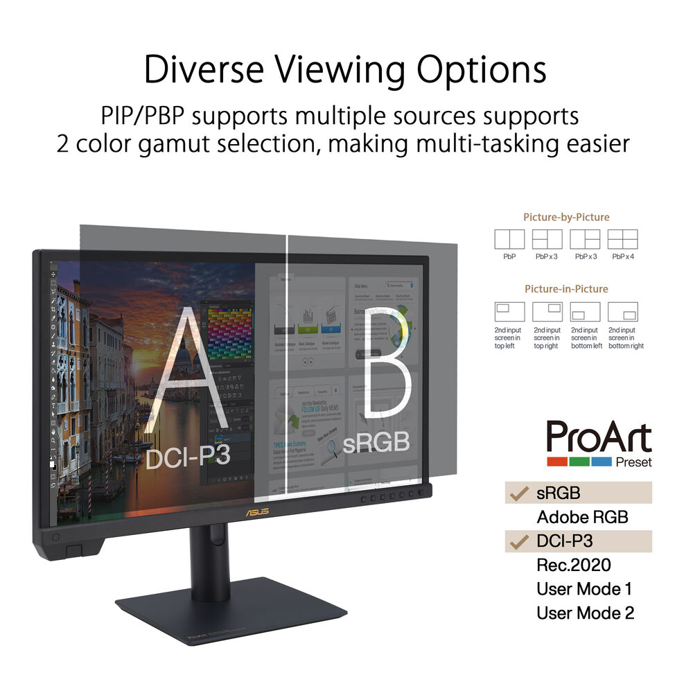 ASUS ProArt PA24US 23.6" 4K IPS Profesyonel Monitör