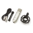 Tascam TM-80 Cardioid Kondansatör Mikrofon