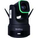 BirdDog X4 Ultra 4K PTZ Kamera AI Takip (Siyah)